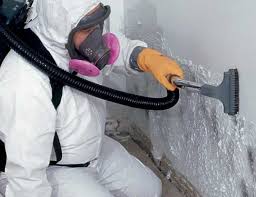 Best Emergency Mold Remediation  in Smith Center, KS